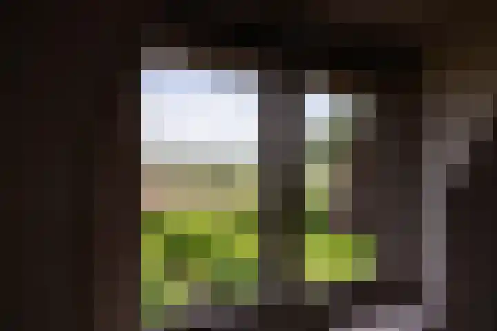 Hulweg 2 Oosterwolde Gld thumbnail 59