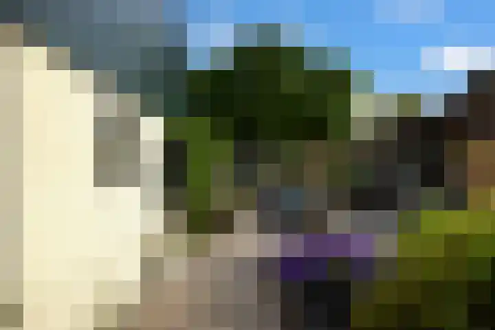 Hulweg 2 Oosterwolde Gld thumbnail 60