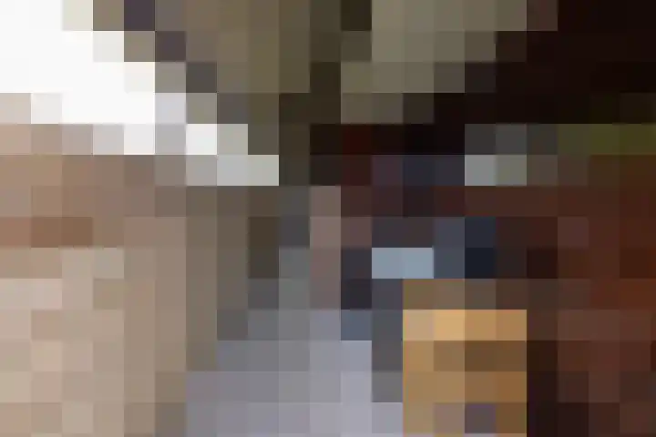Hulweg 2 Oosterwolde Gld thumbnail 64