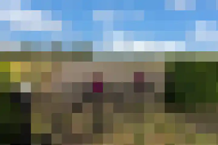 Hulweg 2 Oosterwolde Gld thumbnail 68