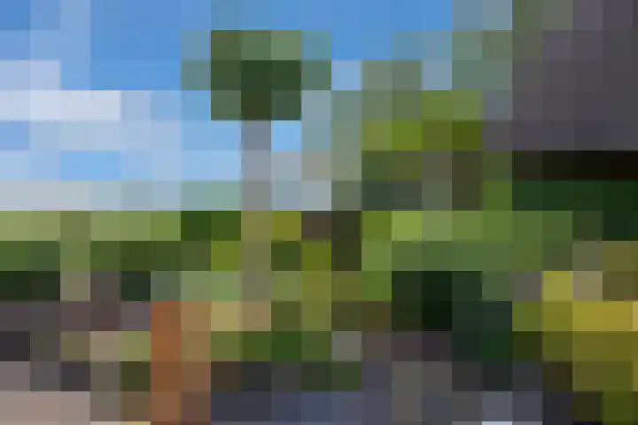 Hulweg 2 Oosterwolde Gld thumbnail 69