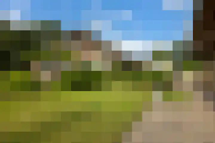 Hulweg 2 Oosterwolde Gld thumbnail 8