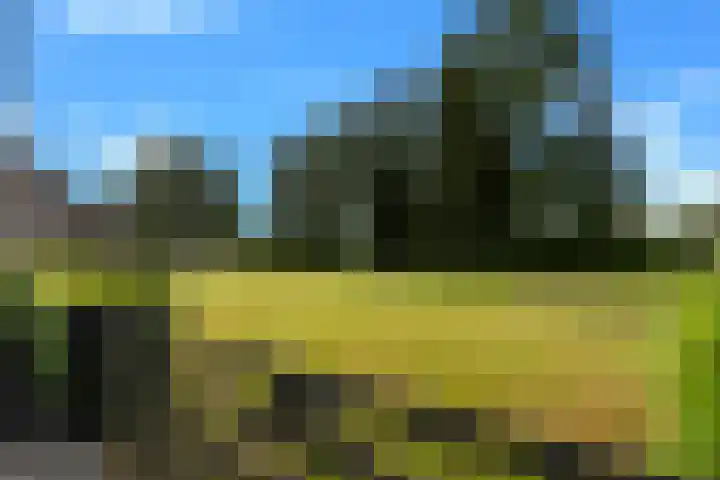 Hulweg 2 Oosterwolde Gld thumbnail 84