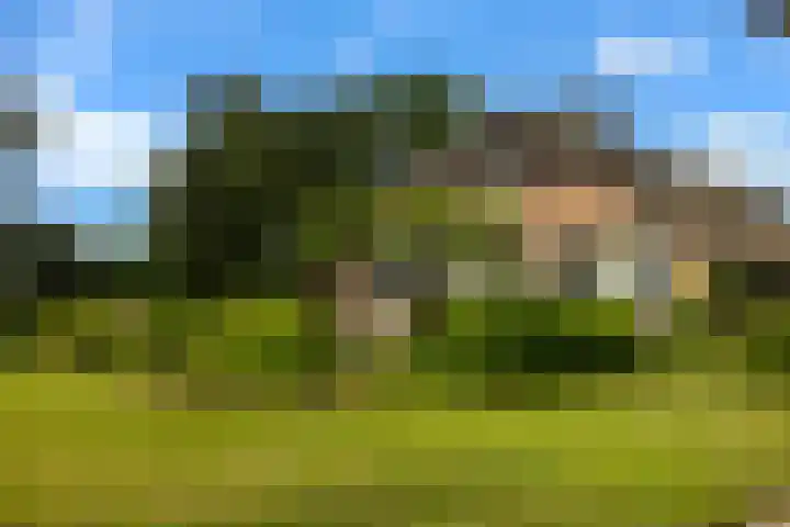 Hulweg 2 Oosterwolde Gld thumbnail 85