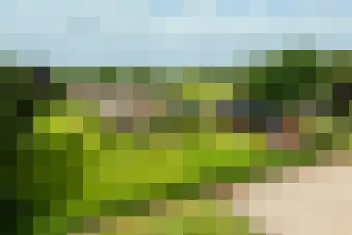 Hulweg 2 Oosterwolde Gld thumbnail 86