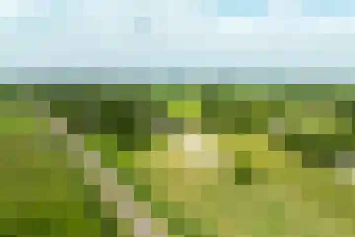Hulweg 2 Oosterwolde Gld thumbnail 87