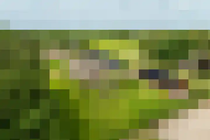 Hulweg 2 Oosterwolde Gld thumbnail 88