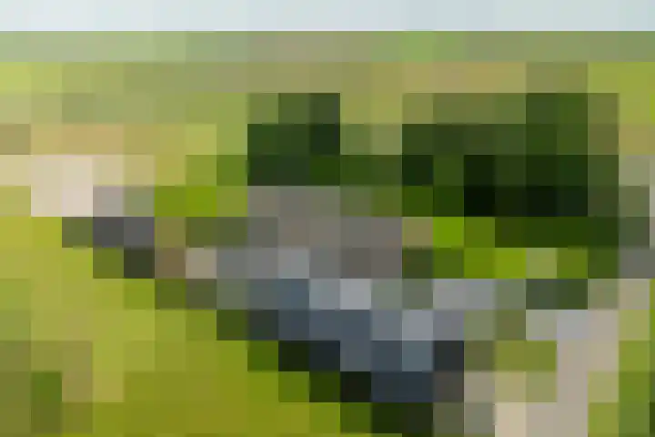 Hulweg 2 Oosterwolde Gld thumbnail 89
