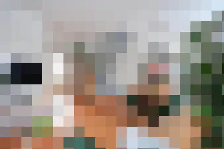 Hulweg 22 Huizen thumbnail 4