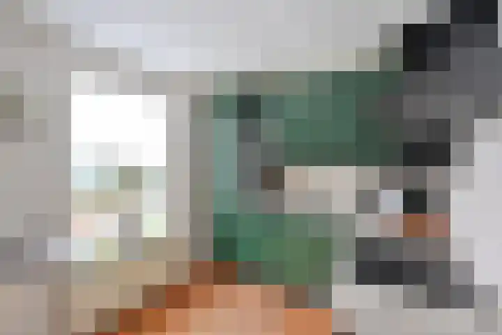 Hulweg 22 Huizen thumbnail 5