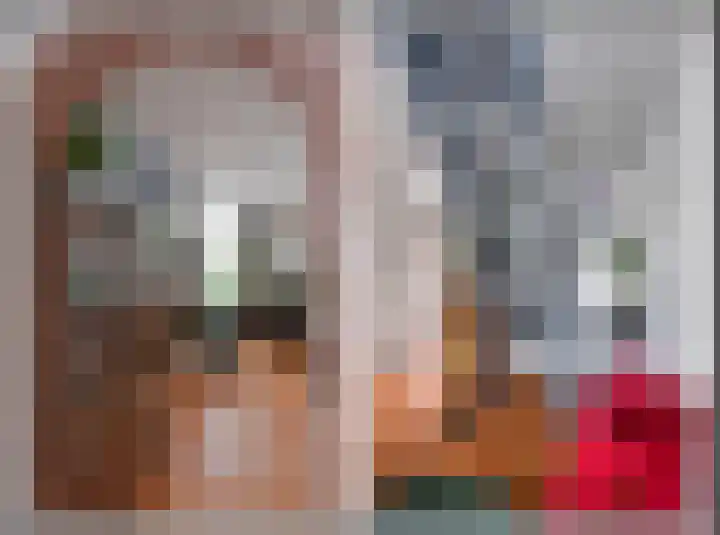 Hulweg 22 Huizen thumbnail 7
