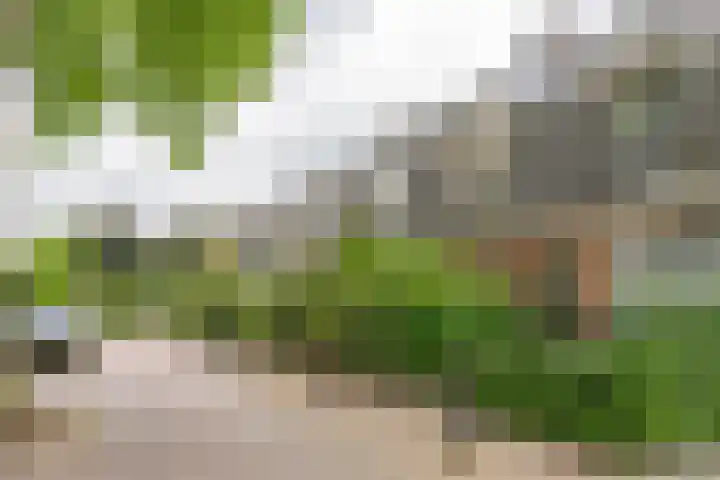 Hulweg 36 Huizen thumbnail 5
