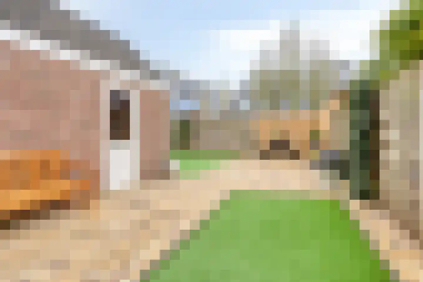 Hulweg 39 C Lunteren thumbnail 28