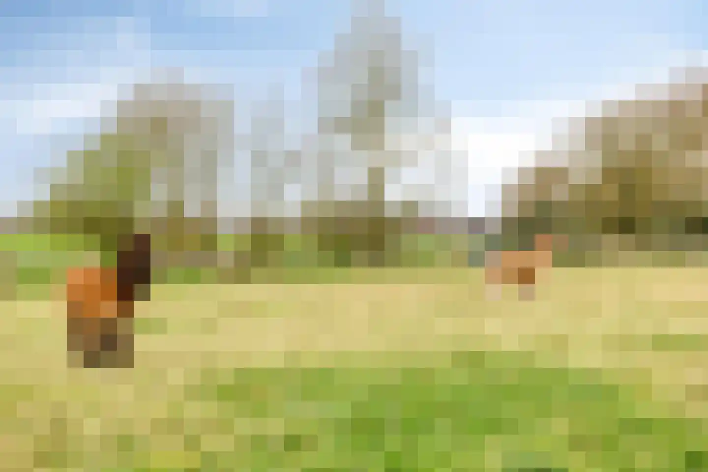 Hulweg 39 C Lunteren thumbnail 31