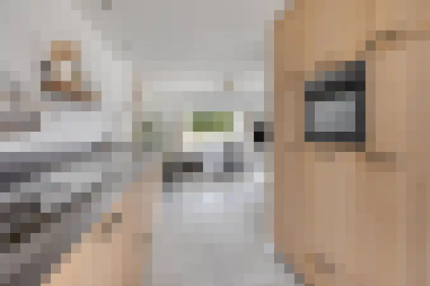 Hulweg 39 C Lunteren thumbnail 4