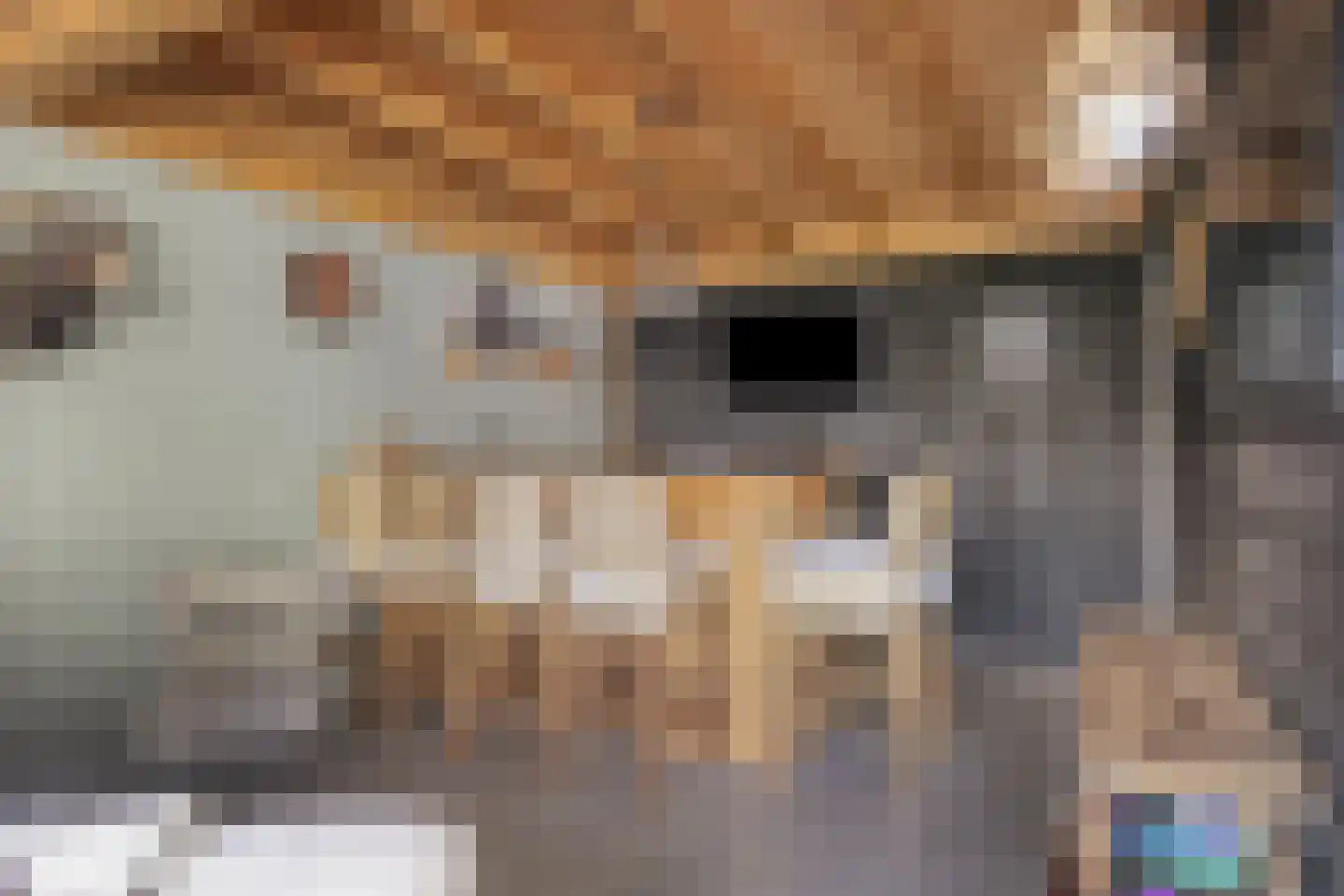 Hulweg 39 Lunteren thumbnail 30