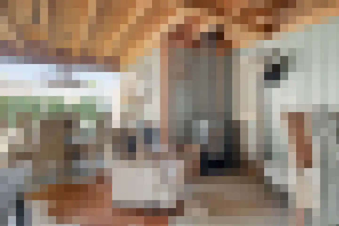 Hulweg 39 Lunteren thumbnail 31