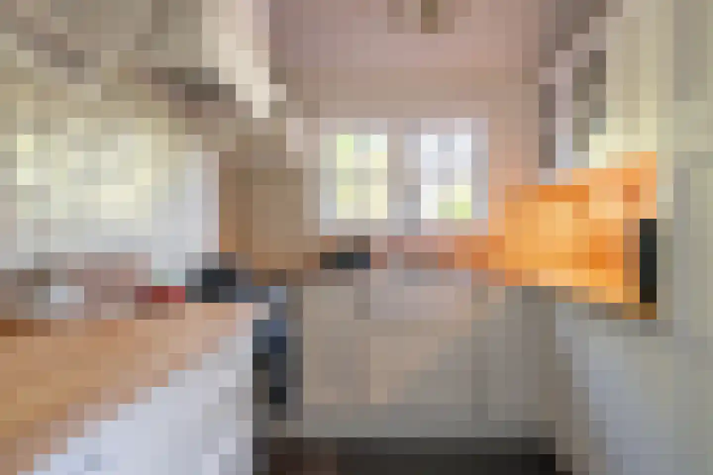 Hulweg 42 Huizen thumbnail 15