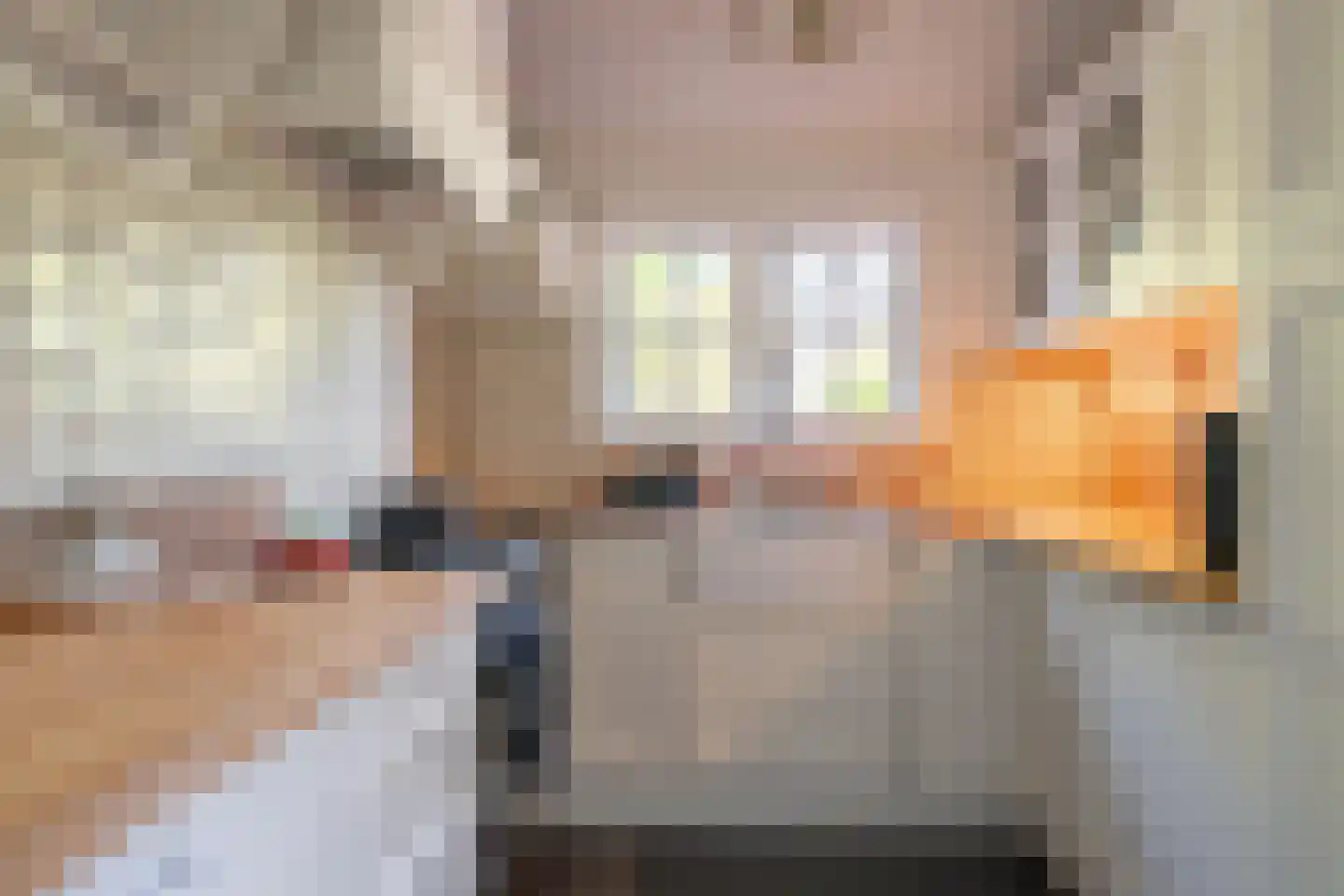 Hulweg 42 Huizen thumbnail 15