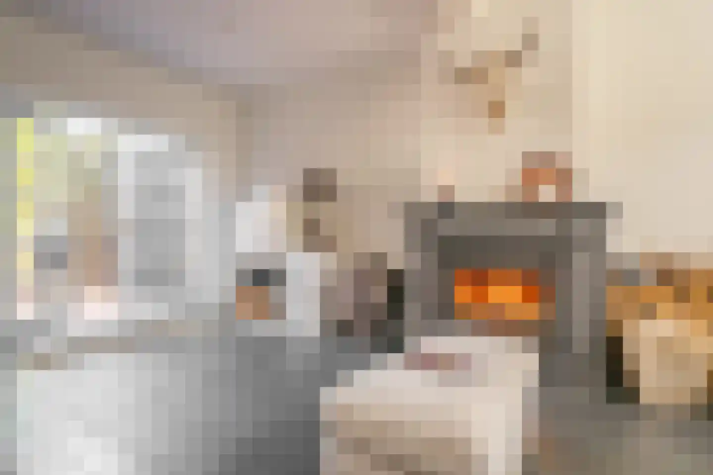 Hulweg 42 Huizen thumbnail 5