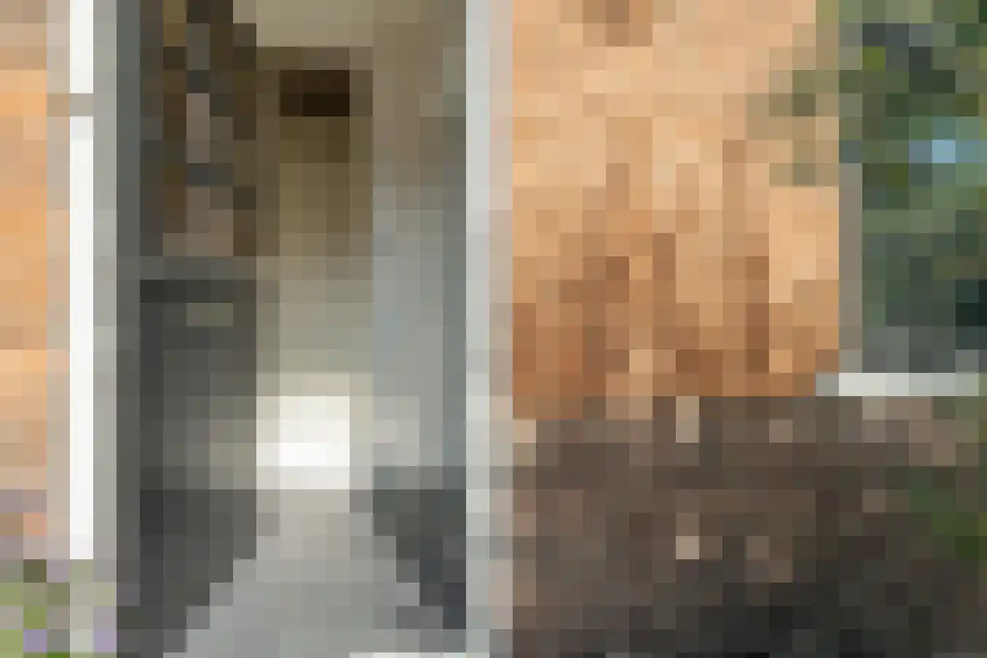 Hulweg 42 Huizen thumbnail 6