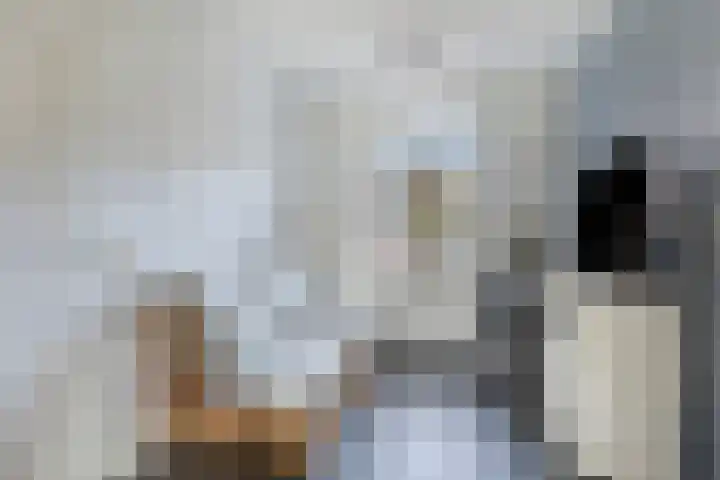 Hulweg 49 Lunteren thumbnail 18