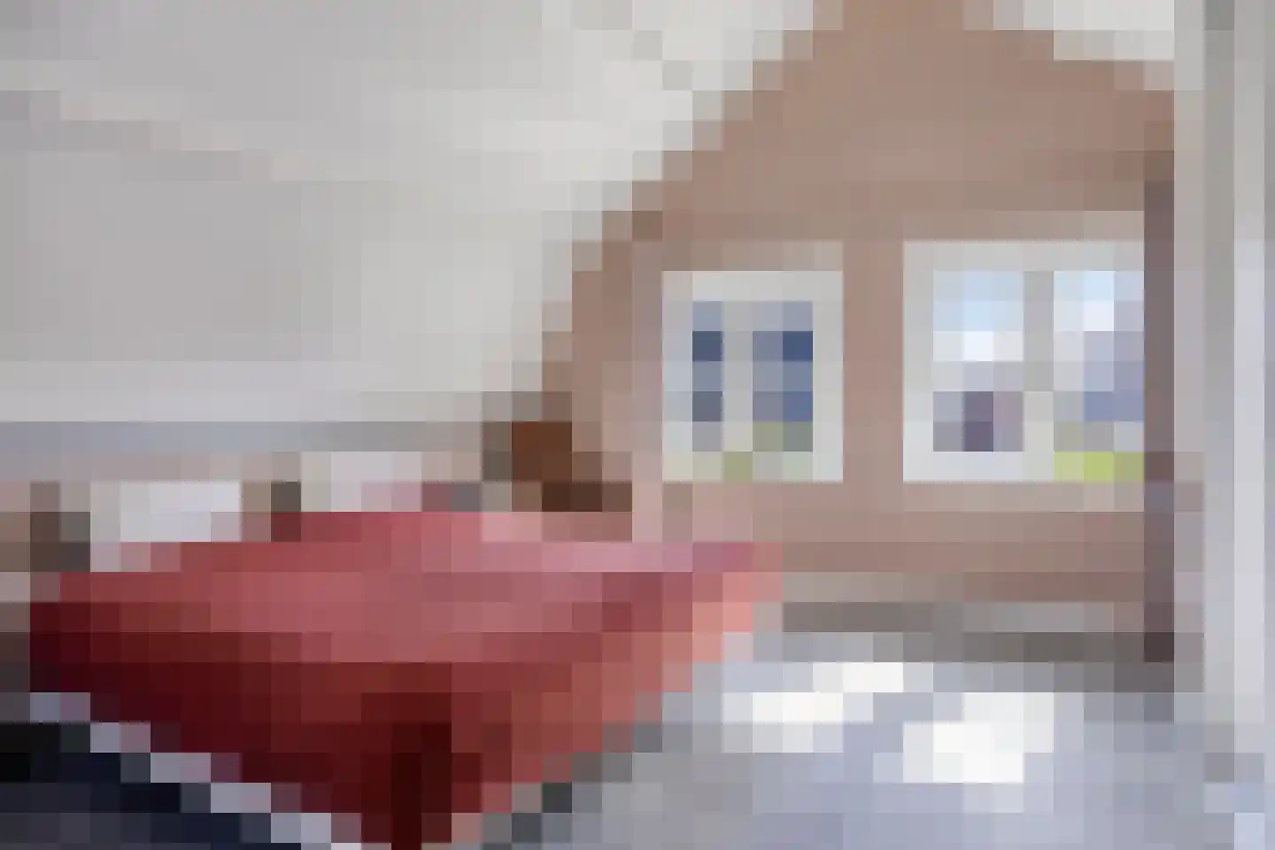 Hulweg 49 Lunteren thumbnail 19
