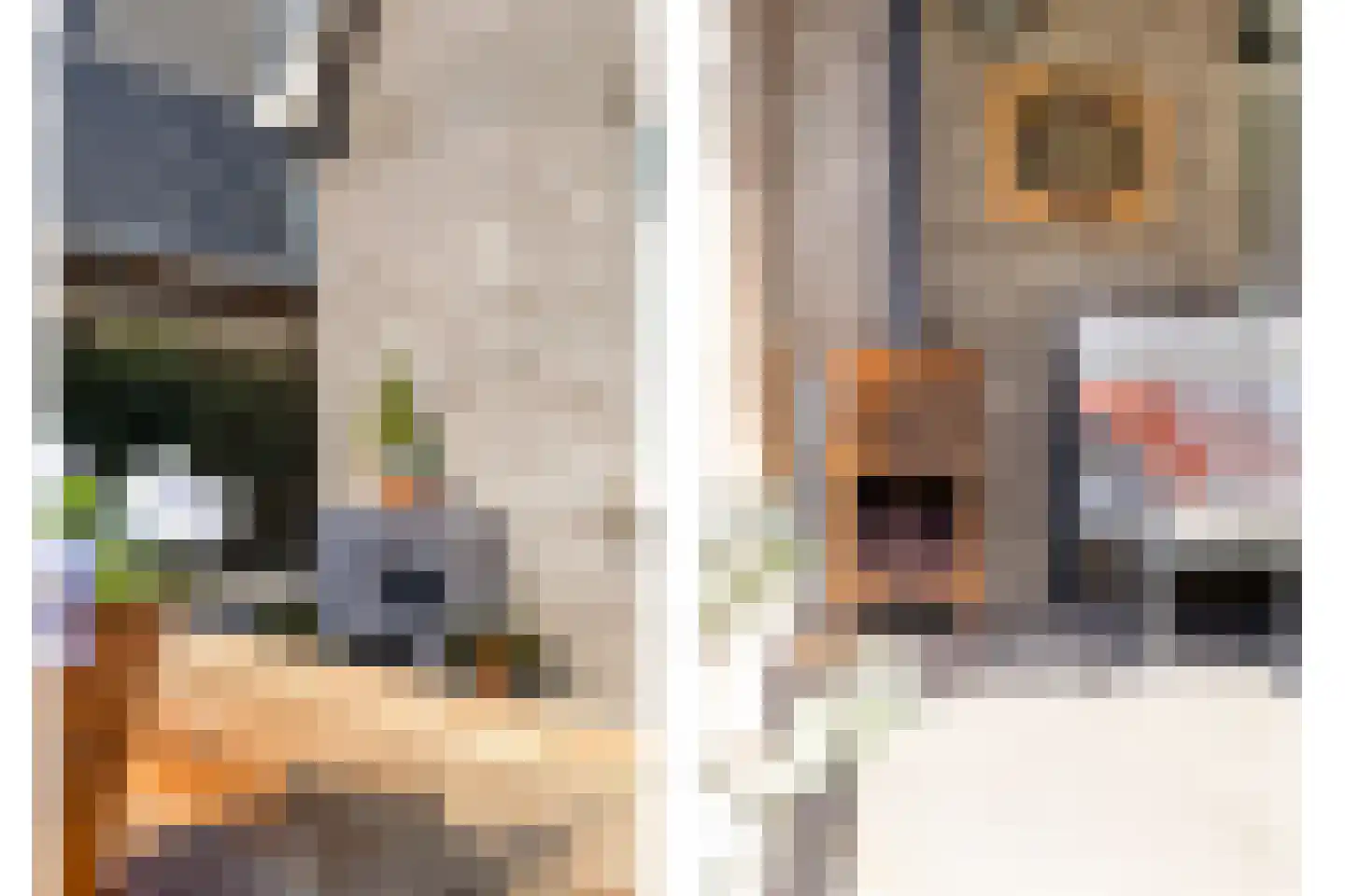 Hulweg 49 Lunteren thumbnail 31