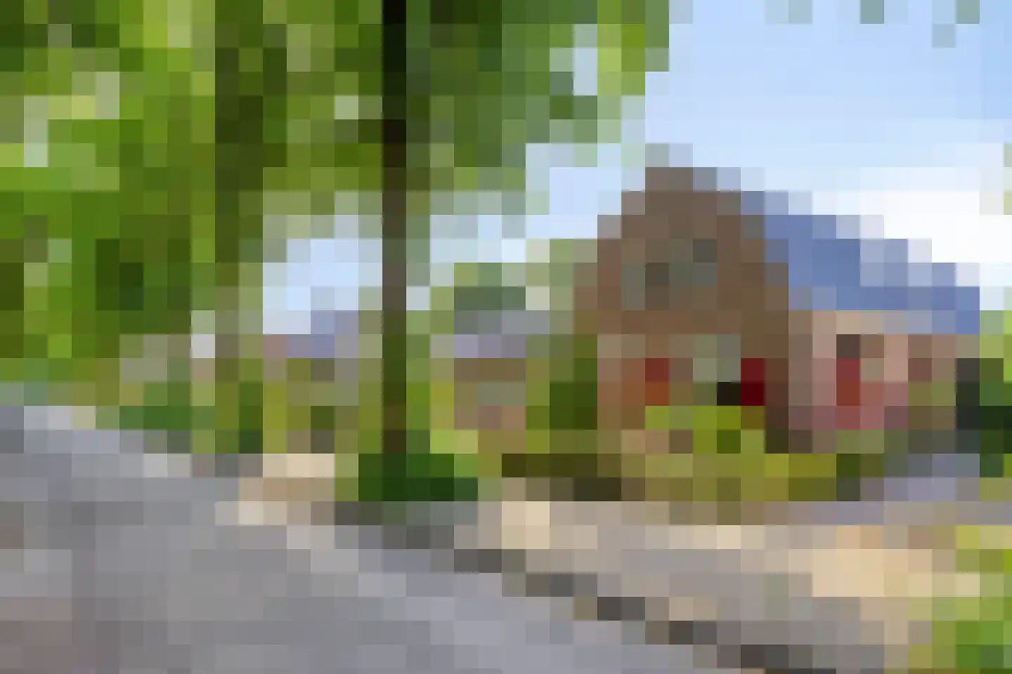 Hulweg 49 Lunteren thumbnail 31