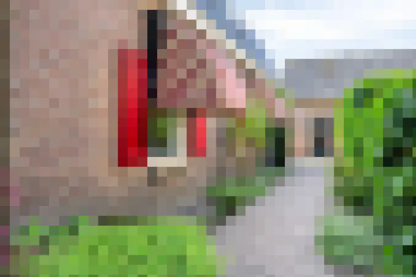 Hulweg 49 Lunteren thumbnail 34