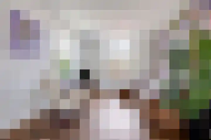 Hulweg 49 Lunteren thumbnail 7