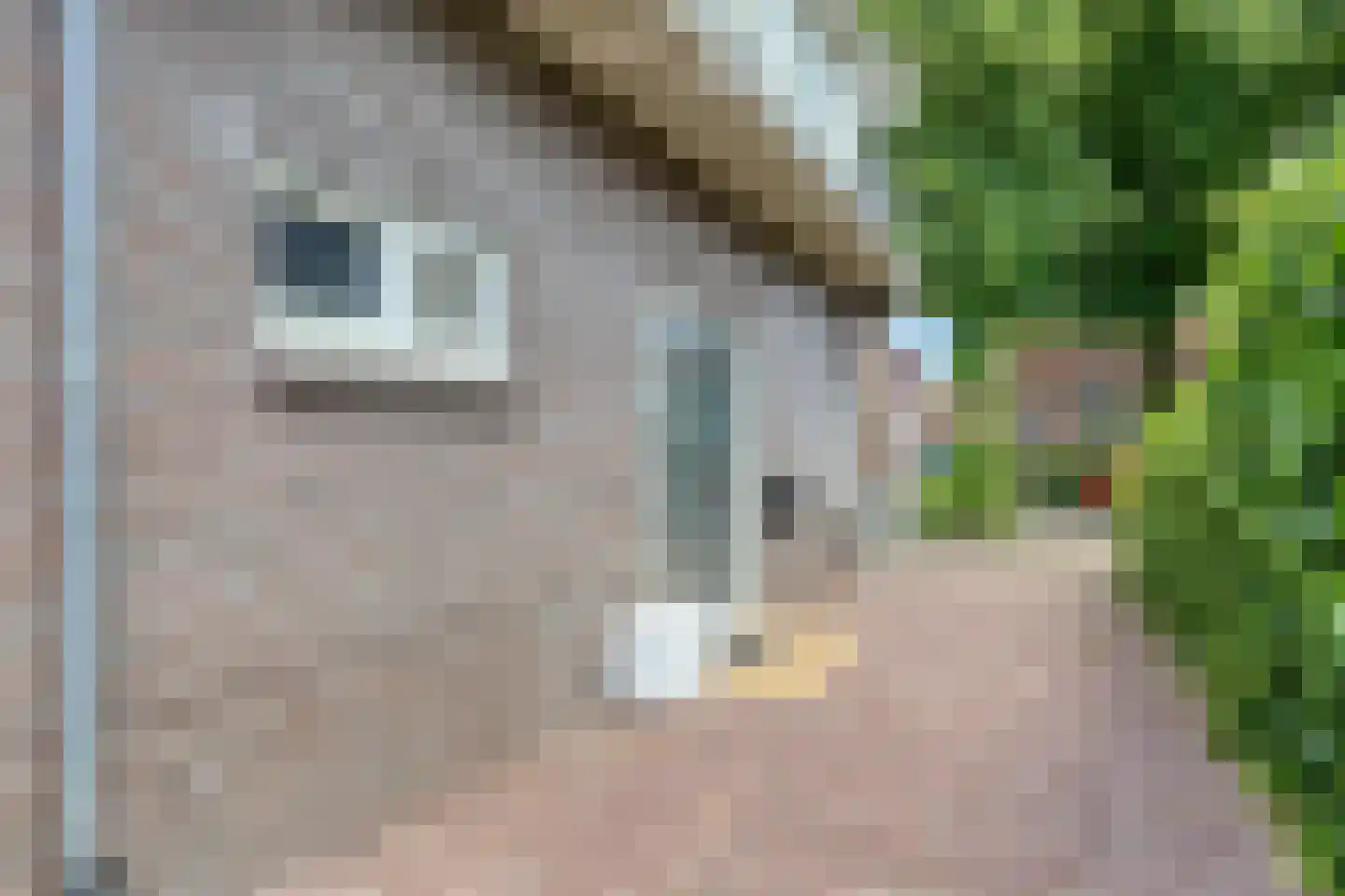 Hulweg 51 B Lunteren thumbnail 15