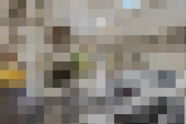 Hulweg 94 Lunteren thumbnail 15