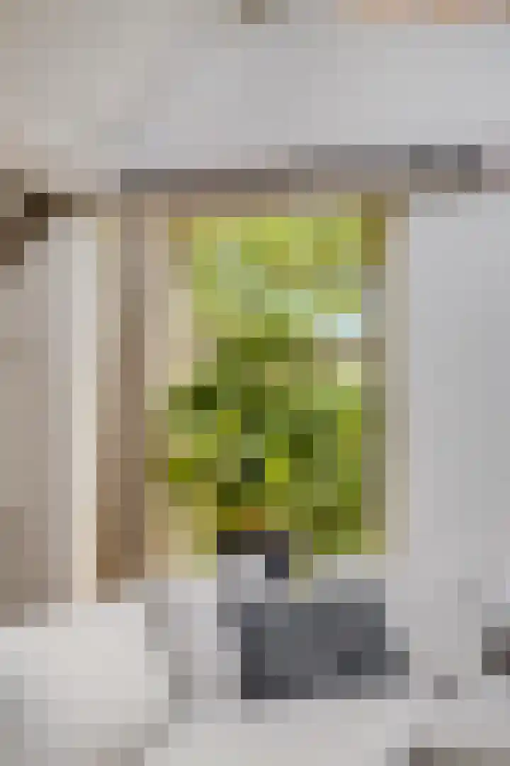 Hulweg 94 Lunteren thumbnail 16