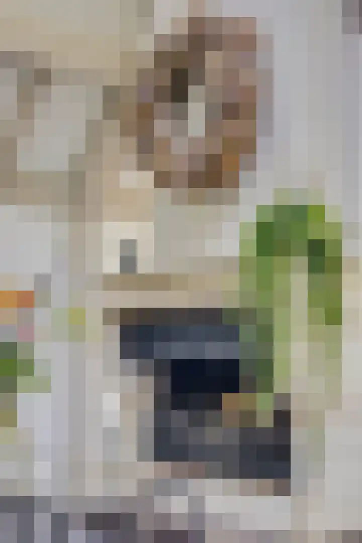 Hulweg 94 Lunteren thumbnail 17