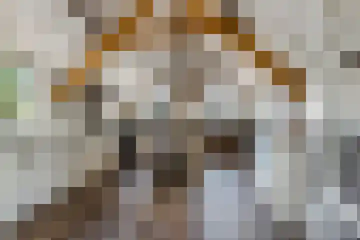 Hulweg 94 Lunteren thumbnail 22