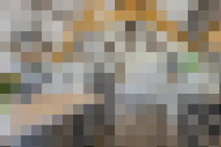 Hulweg 94 Lunteren thumbnail 24