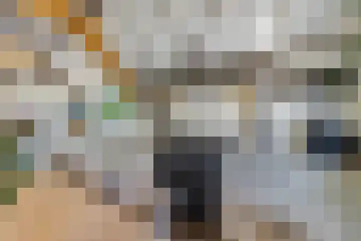 Hulweg 94 Lunteren thumbnail 25