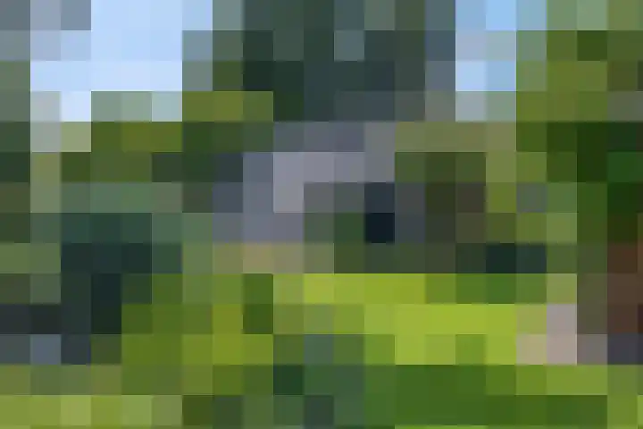 Hulweg 94 Lunteren thumbnail 4