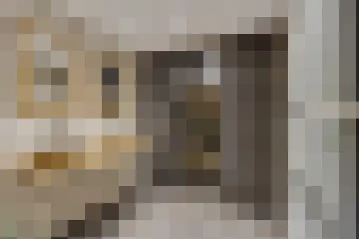 Hulweg 94 Lunteren thumbnail 40