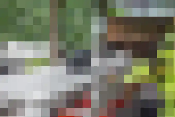 Hulweg 94 Lunteren thumbnail 52
