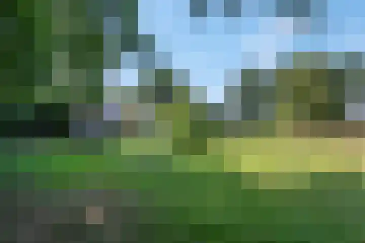 Hulweg 94 Lunteren thumbnail 53