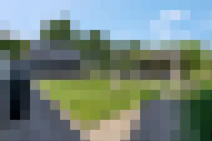Hulweg 94 Lunteren thumbnail 6