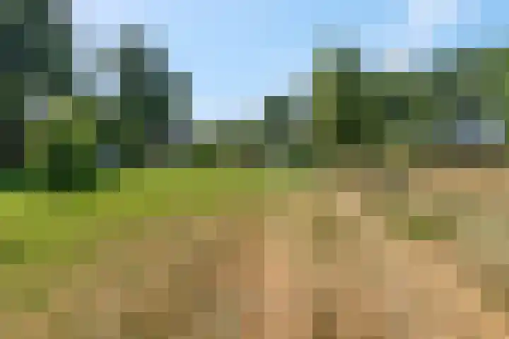 Hulweg 94 Lunteren thumbnail 62