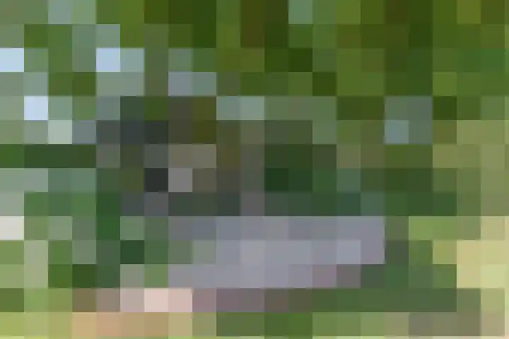 Hulweg 94 Lunteren thumbnail 66