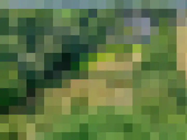 Hulweg 94 Lunteren thumbnail 68