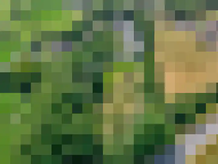 Hulweg 94 Lunteren thumbnail 69