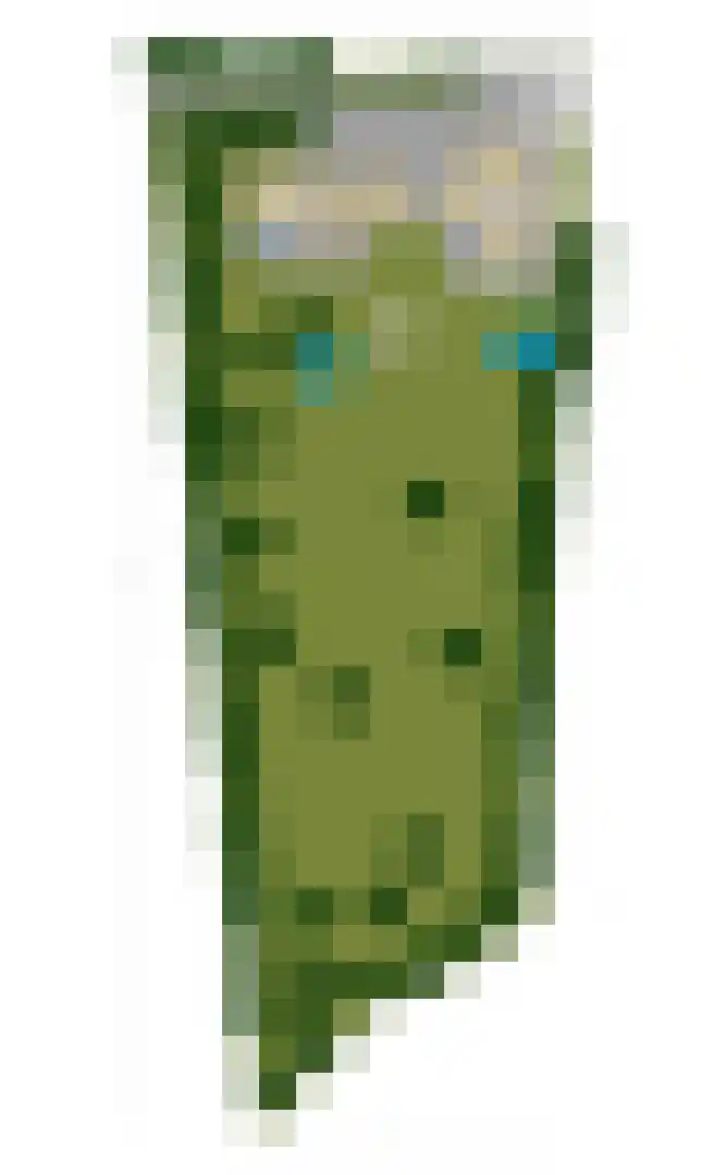 Hulweg 94 Lunteren thumbnail 76