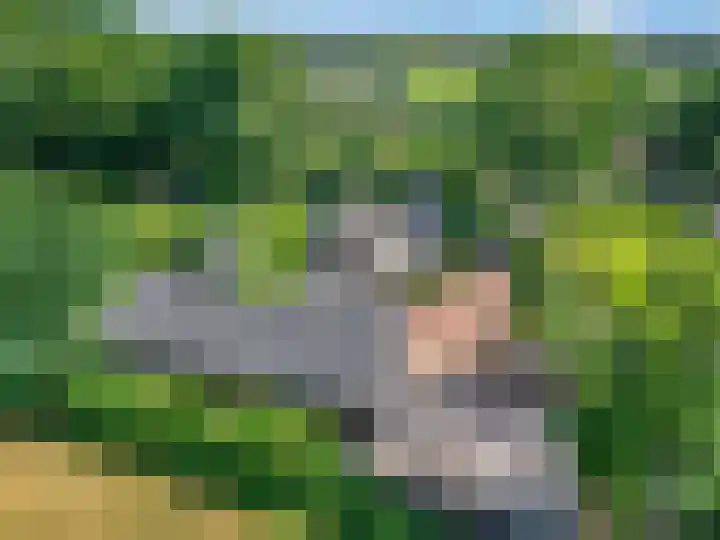 Hulweg 94 Lunteren thumbnail 78