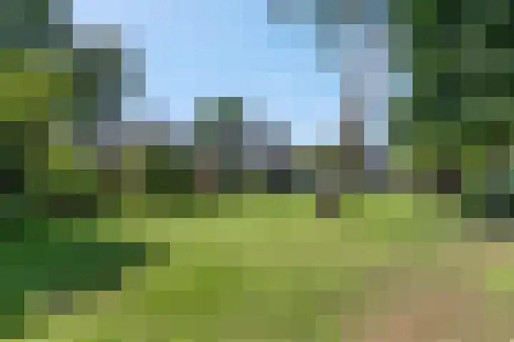 Hulweg 94 Lunteren thumbnail 9